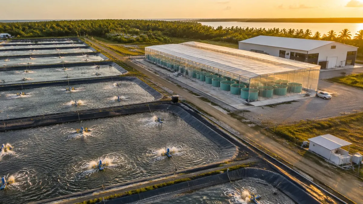 Aerial view of lined vannamei shrimp ponds beside covered biofloc tanks and an indoor RAS building at a commercial shrimp farm